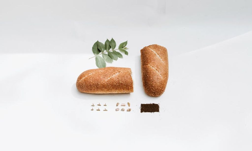 מדריך מקצועי לבחירת מזון עבור אורח חיים תזזיתי